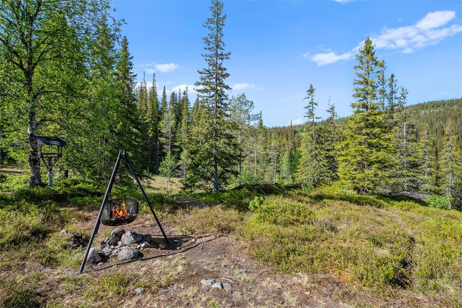 Naturtomt på over 1 mål .