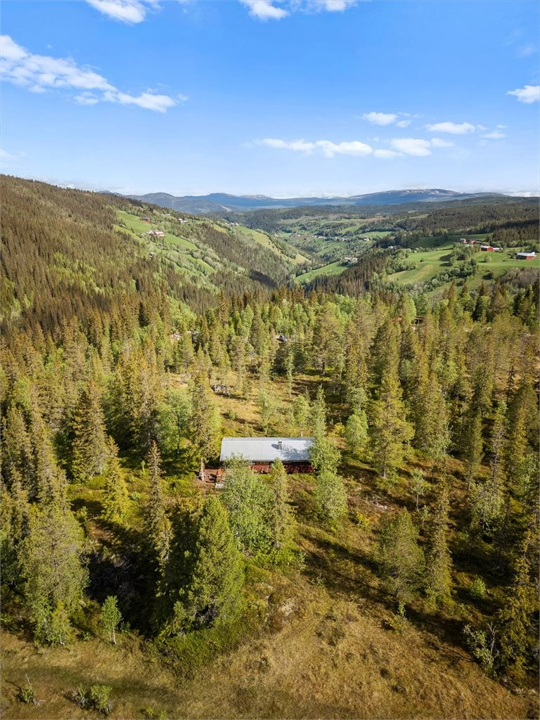 Nærområdet byr på ett flott landskap i et variert terreng, med gode jakt - og fiskemuligheter.