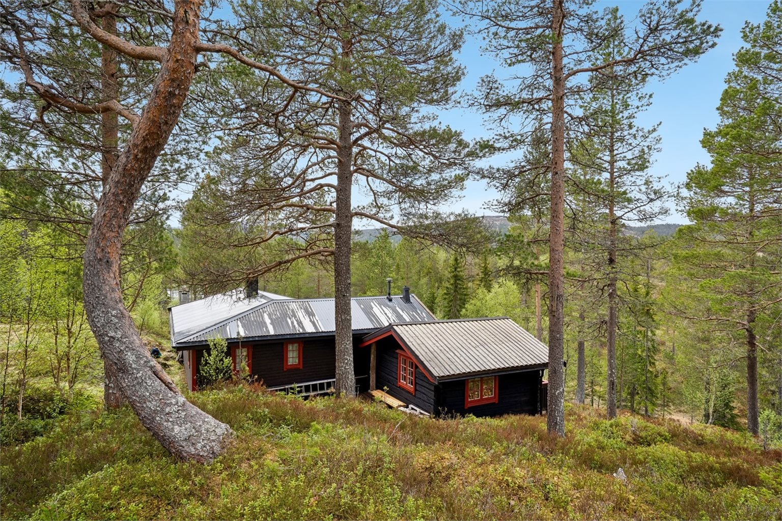 Turmuligheter rett utenfor døren