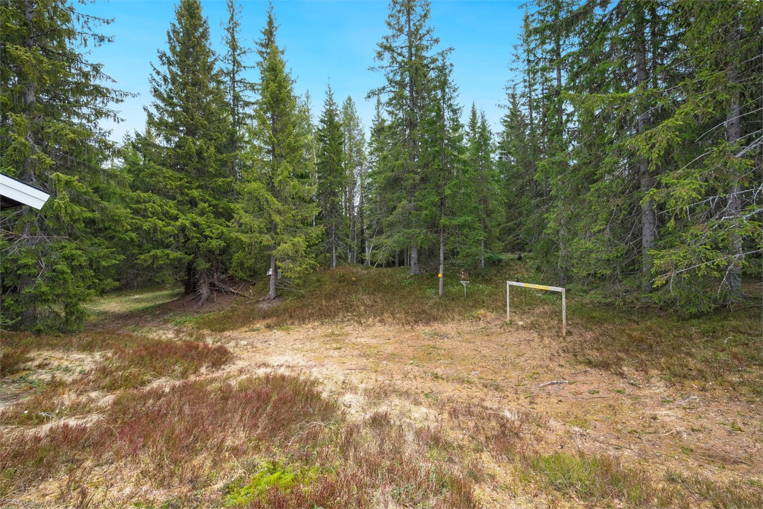 Det er rikelig med boltreplass for både liten og stor på den store tomten, og du finner både multe, blåbær og tyttebær i området rundt hytta. 
