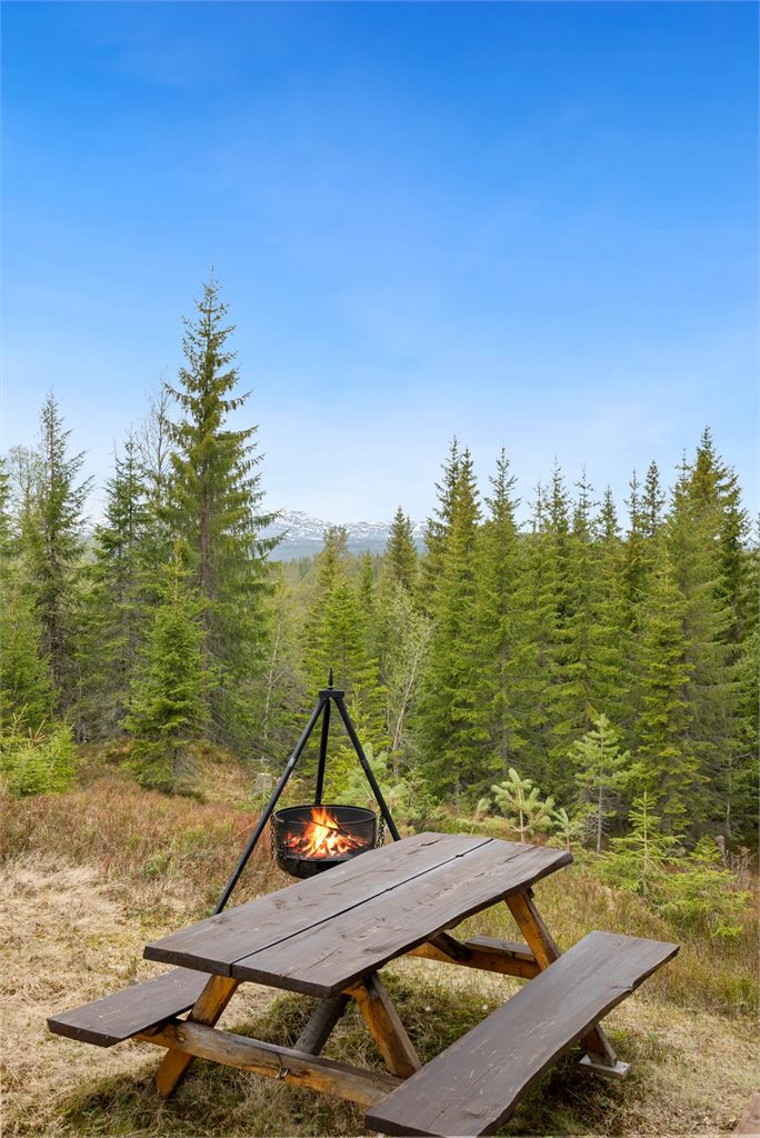 Rundt på eiendommen er det fine plasser for sittebenker og bålpanne.