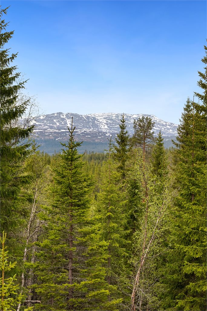 Fritidseiendommen kan blant annet skilte med flott fjellutsikt.