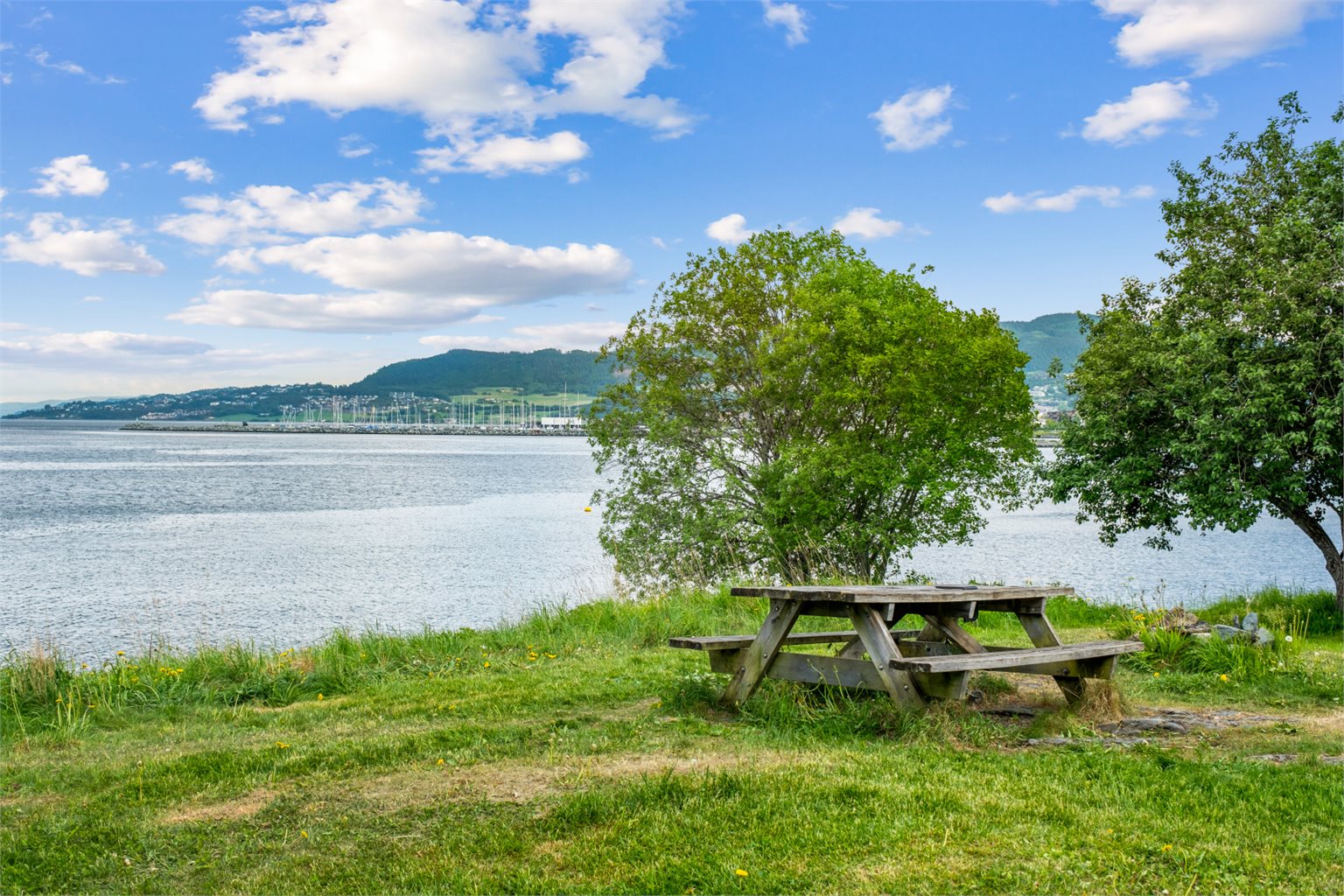 Ladestien er en av Trondheims aller mest populære turstier. Ladestien er i underkant av 8km lang om man går fra Ladehammeren til Rotvollfjæra. Stien er tilrettelagt for alle og man kan tilpasse turen med hvor man starter og hvor langt man ønsker å gå.