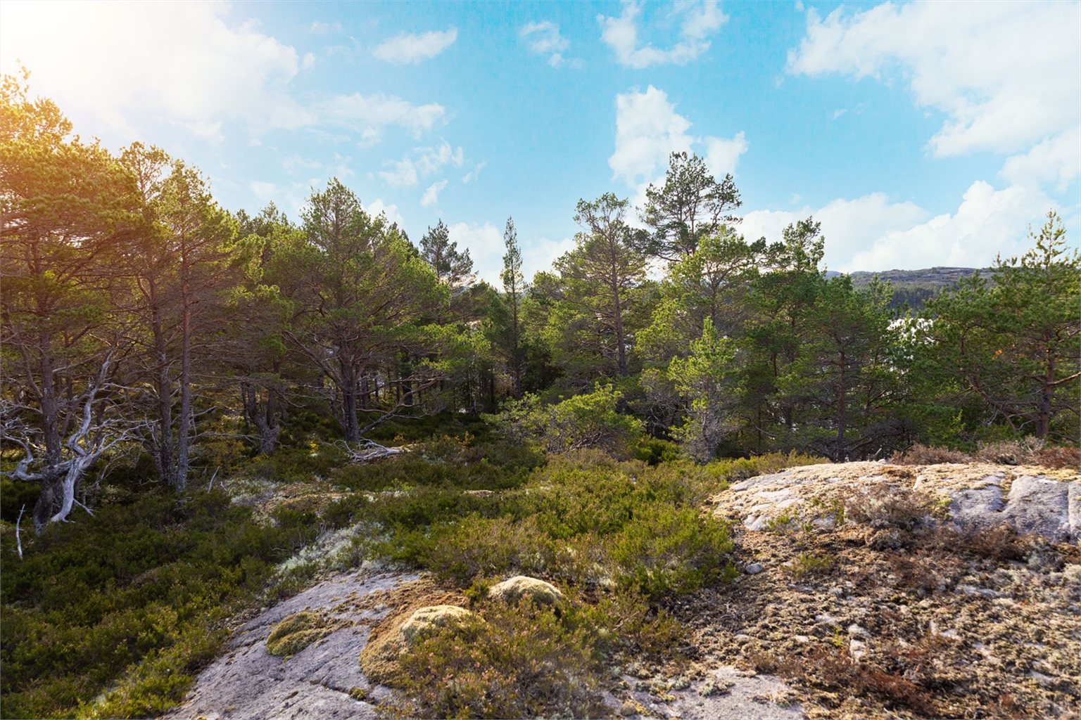 Ta kontakt med megler ved interesse!