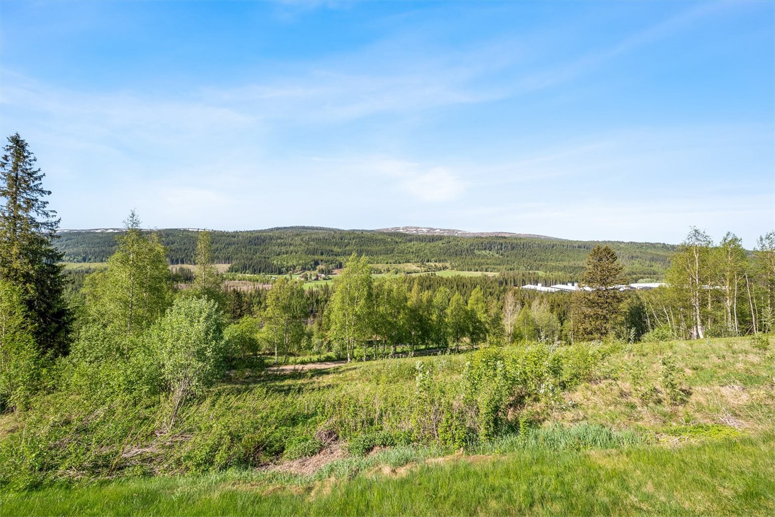God utsikt over fin natur